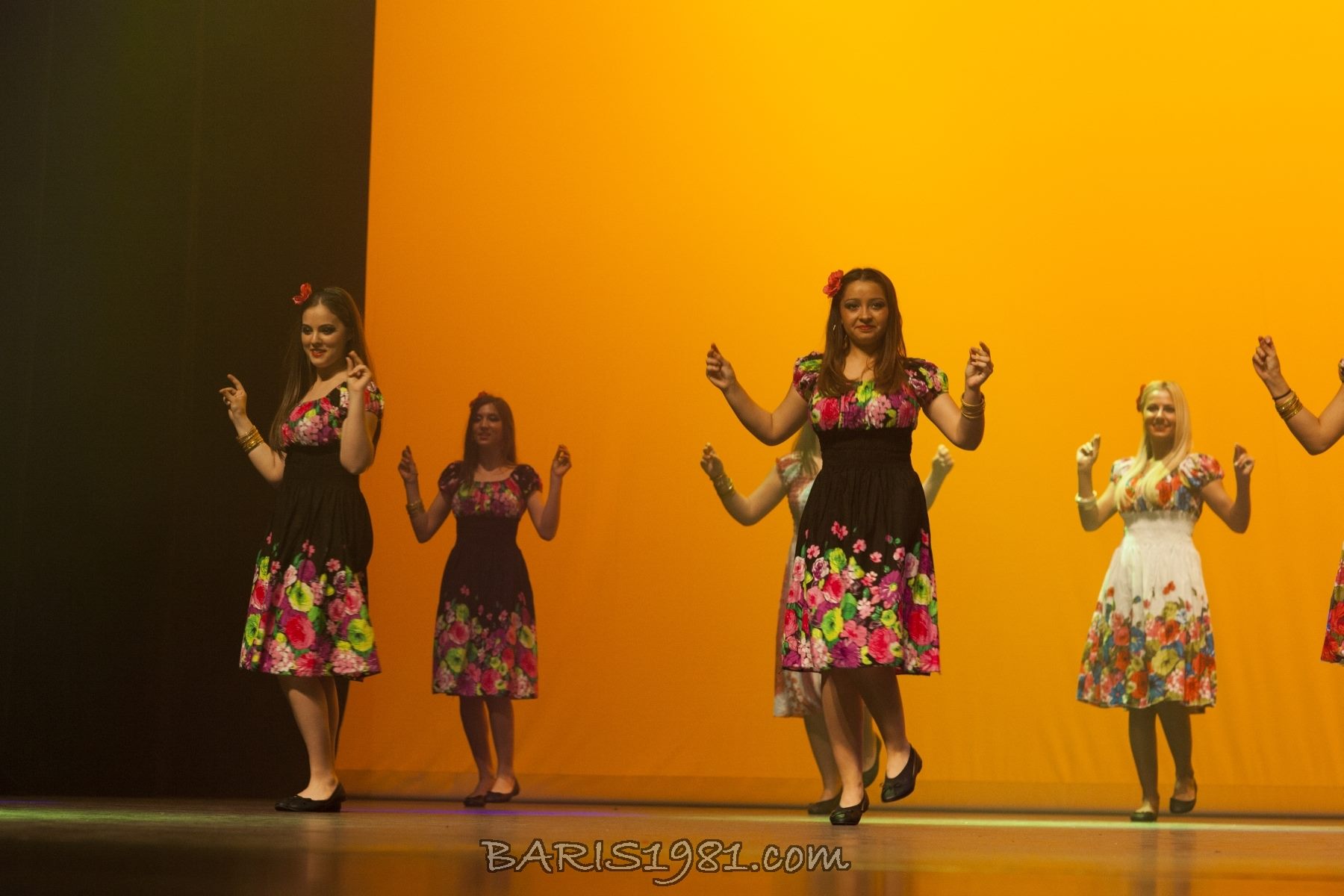 1490817 10152038418447969 1085766073 o