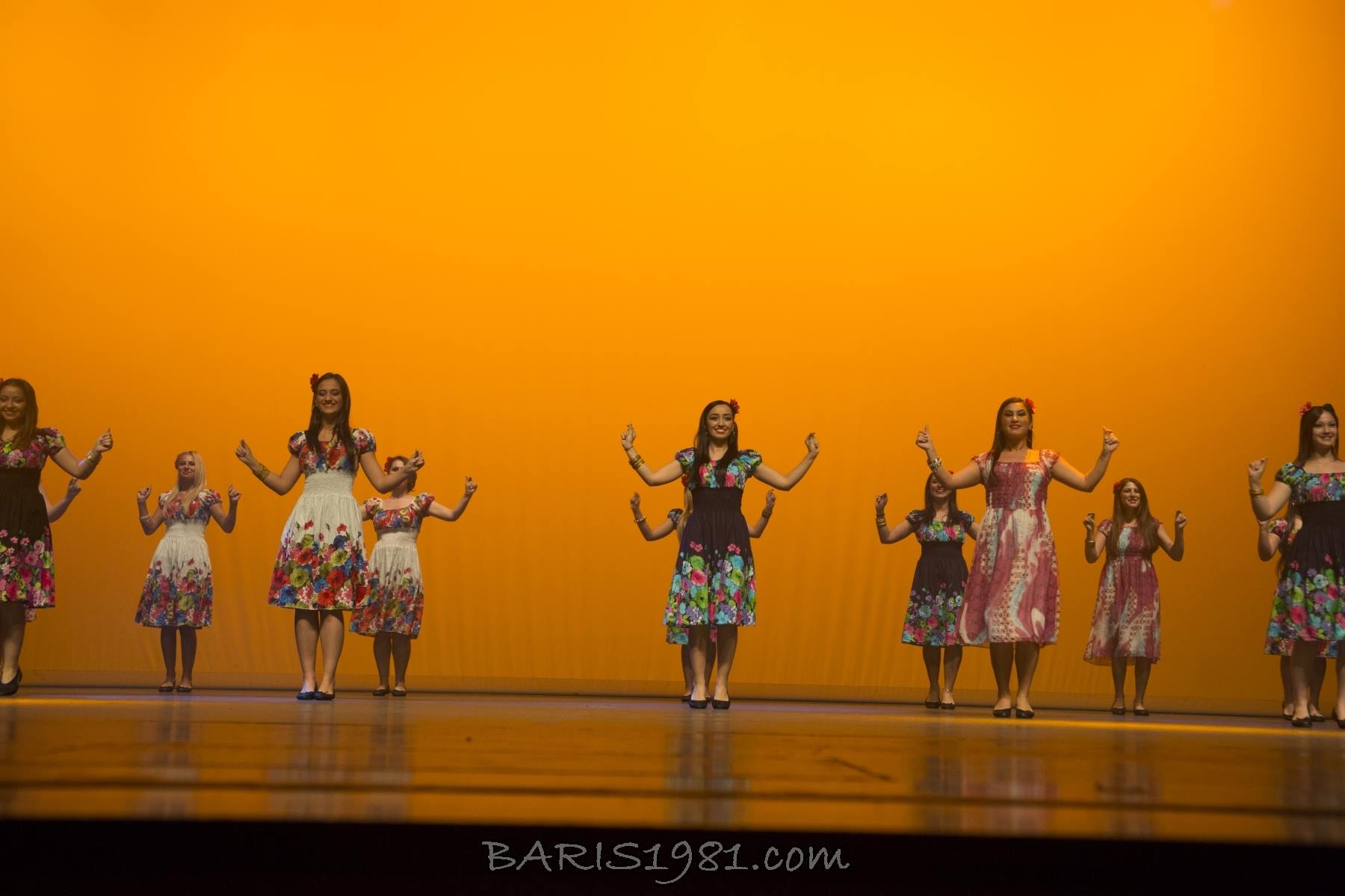 1490857 10152038418427969 250303015 o