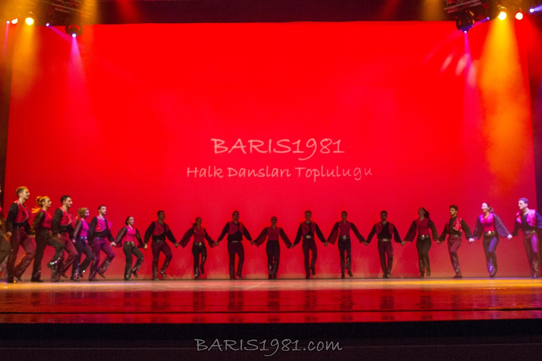 1491476 10152038431932969 1155538446 o