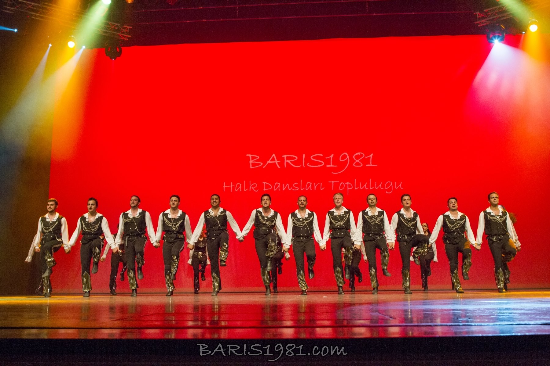 1491511 10152038427747969 456633682 o