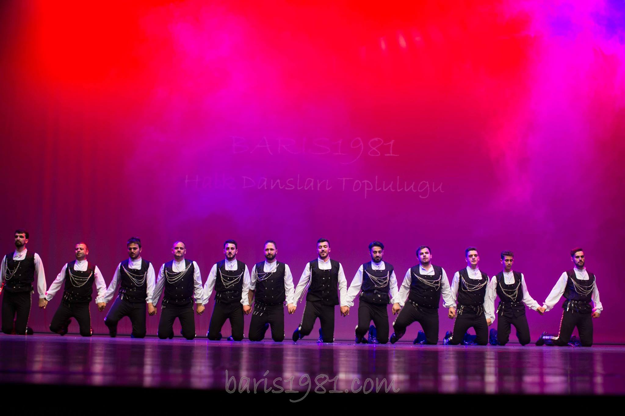 12493674 10153820194377969 5286582388732043083 o