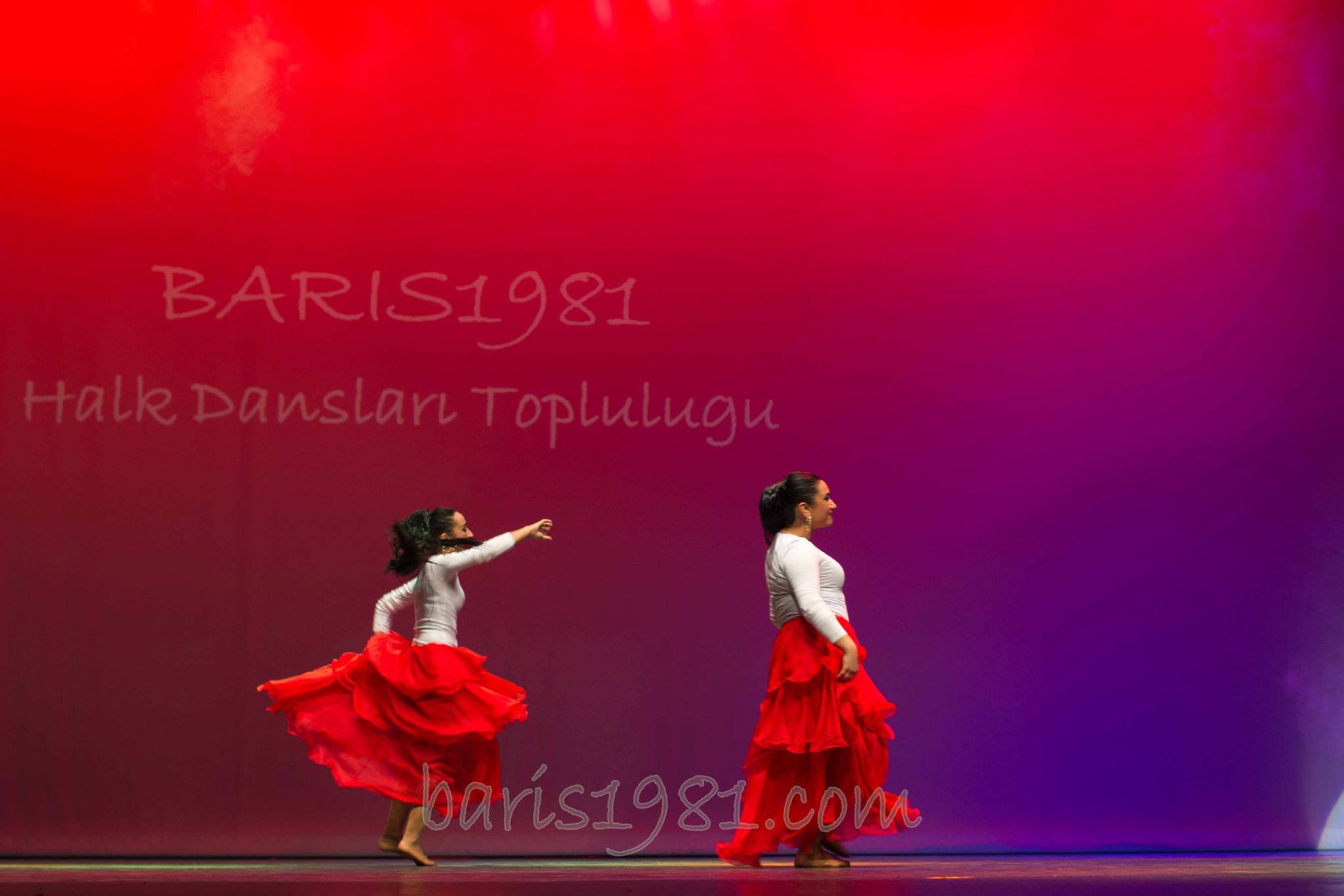 12593442 10153820198112969 2253973771597274711 o