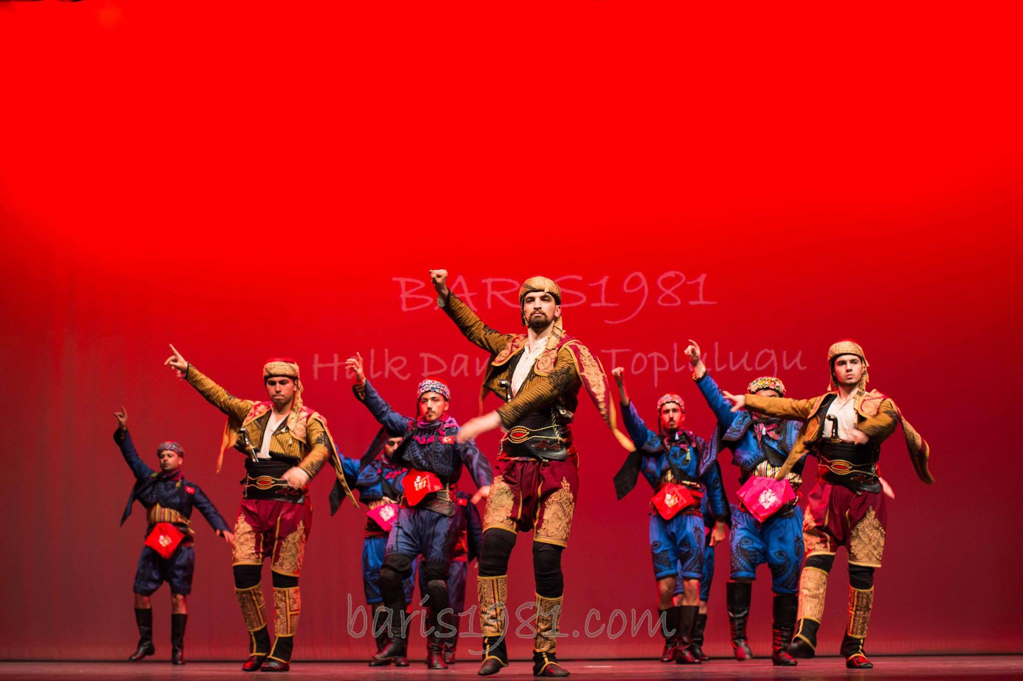 12628380 10153820191452969 261442864342131660 o